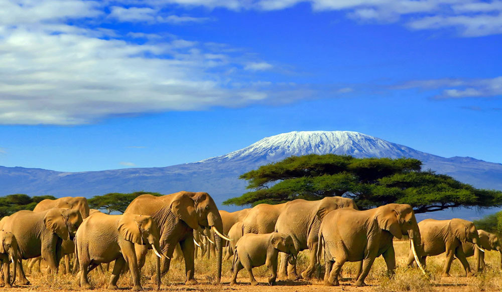 Tanzania-lo-mejor Tanzania-lo-mejor